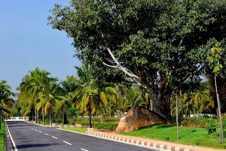 sobha charted birdsong project image